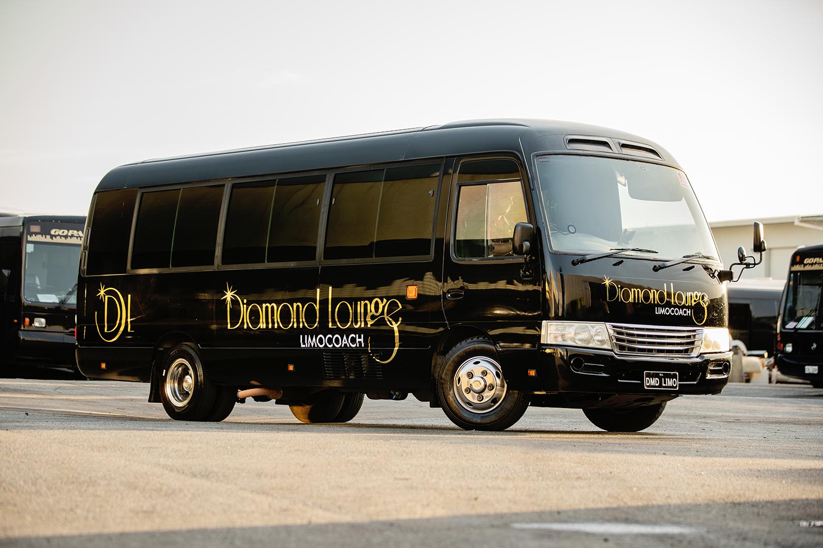 14 seater luxury party bus perth